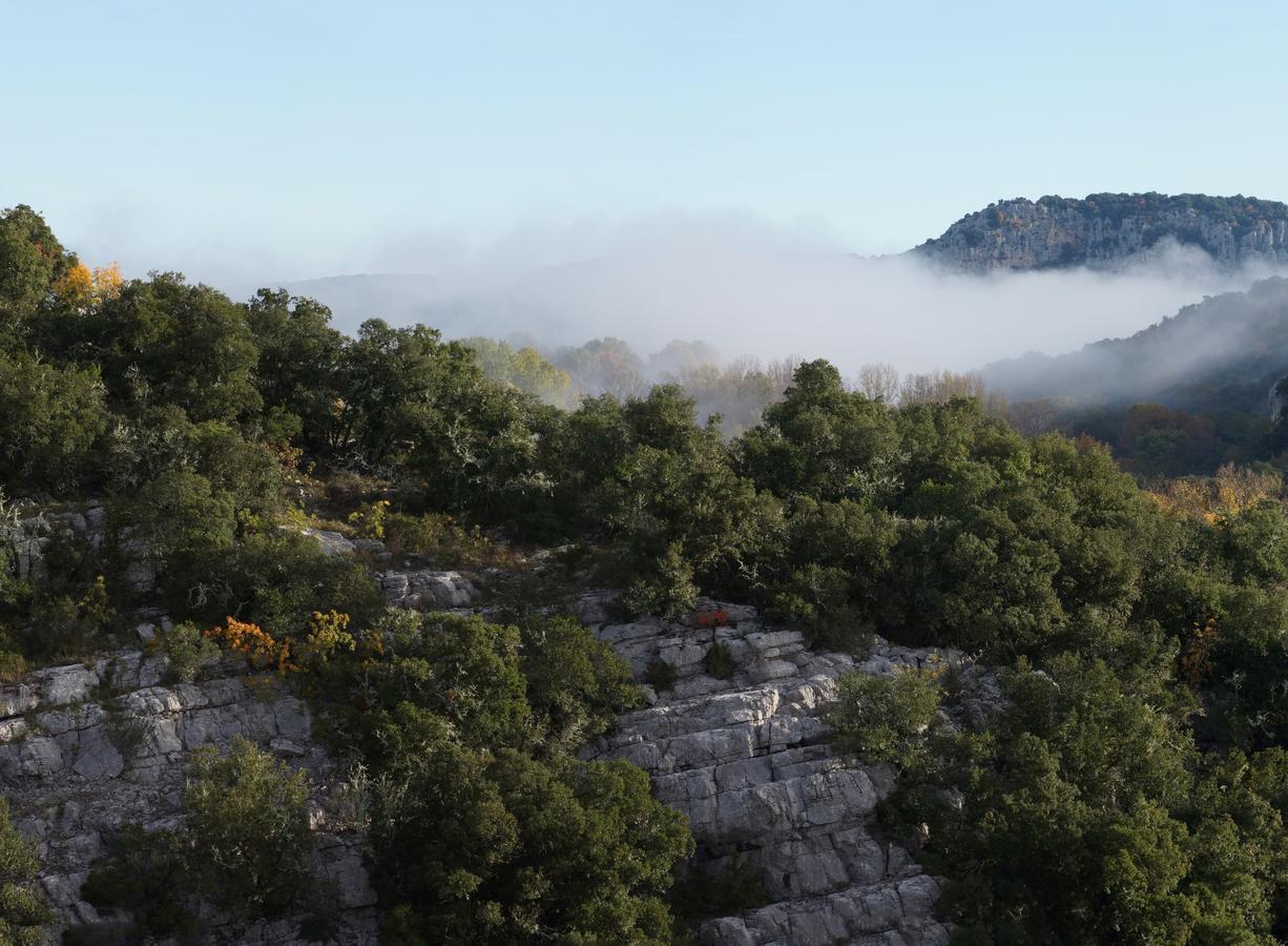 Les Hauts D'Issensac Causse-de-la-Selle Exteriör bild