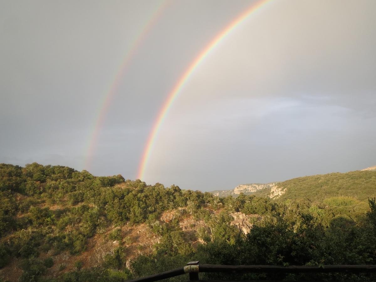 Les Hauts D'Issensac Causse-de-la-Selle Exteriör bild