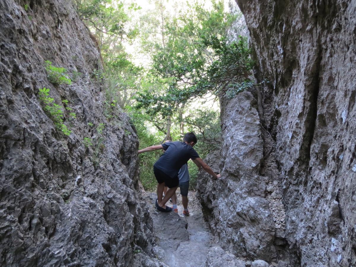 Les Hauts D'Issensac Causse-de-la-Selle Exteriör bild