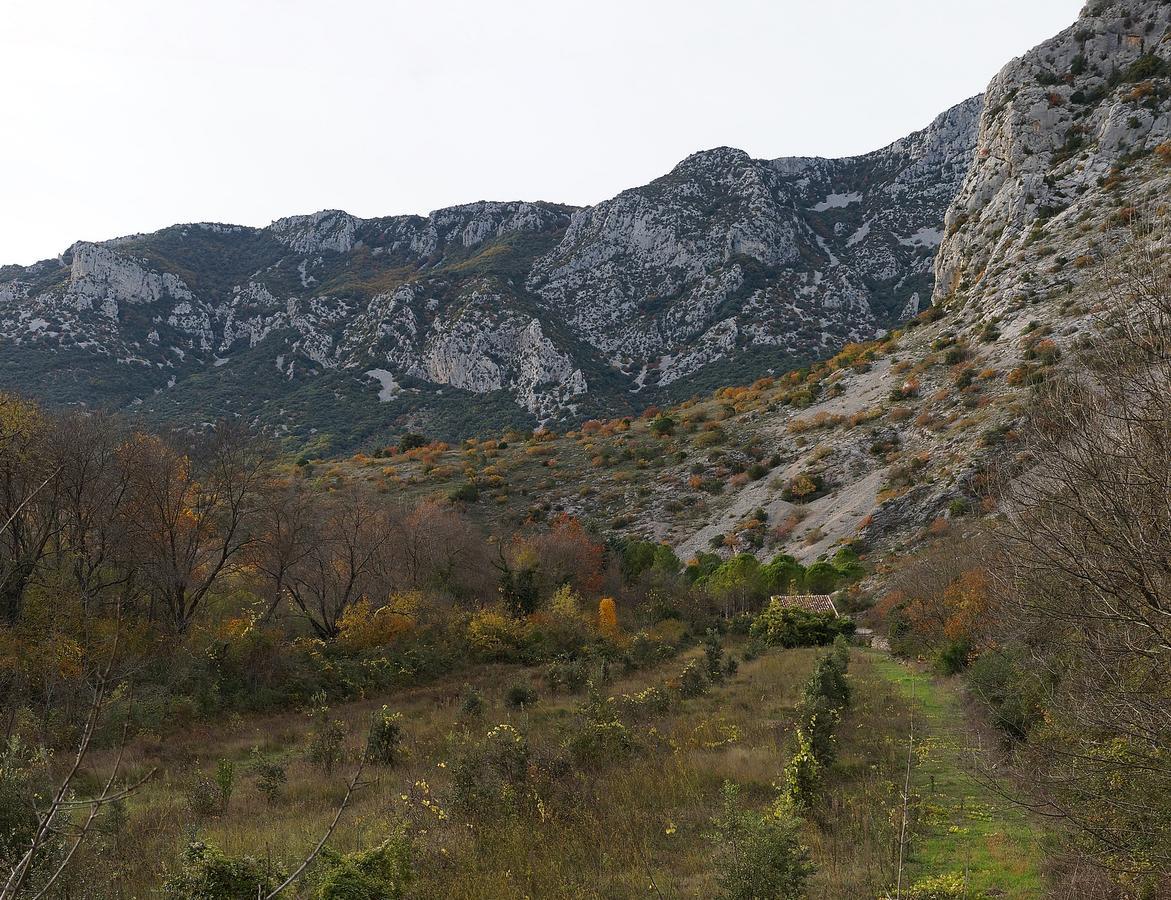 Les Hauts D'Issensac Causse-de-la-Selle Exteriör bild